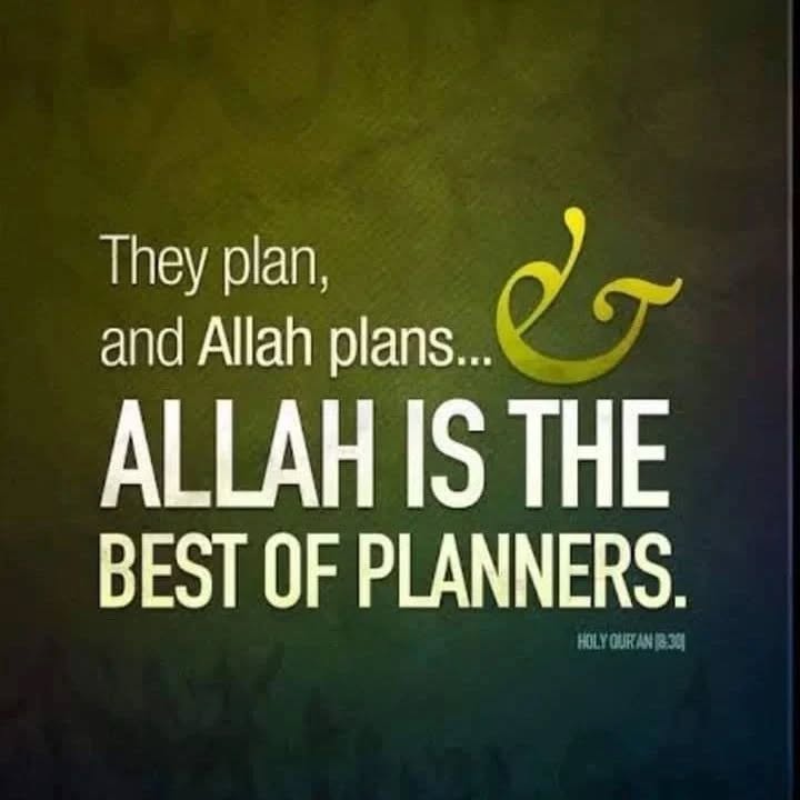 syedalinaqihasni_1716180644_3371890092131529448_14685689414.webp