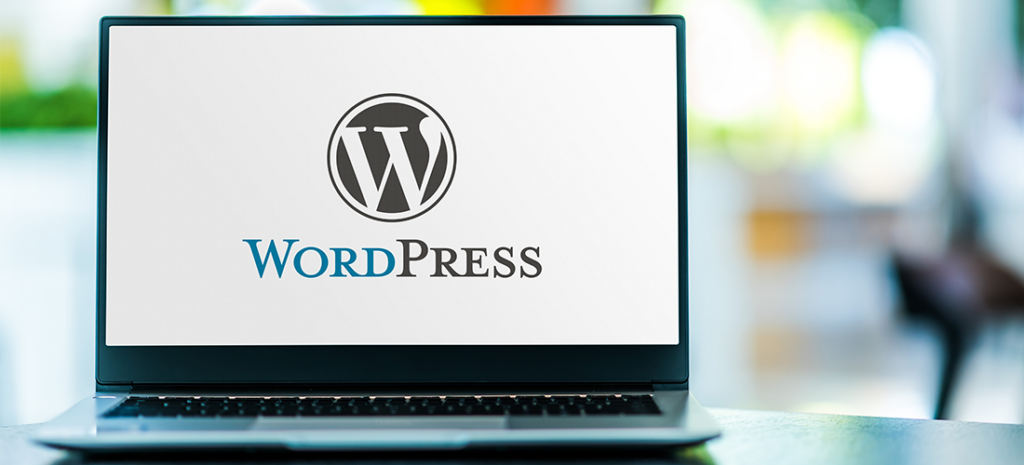Why I Don't Use WordPress (And You Shouldn't Either) - Syed Ali Naqi Hasni